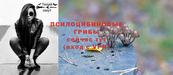 сатива Абаза