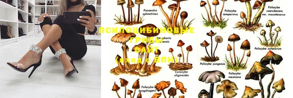 дмт Абдулино