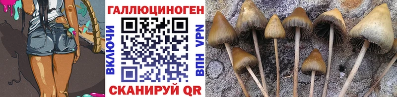 Галлюциногенные грибы прущие грибы  купить наркотики цена  Зубцов 